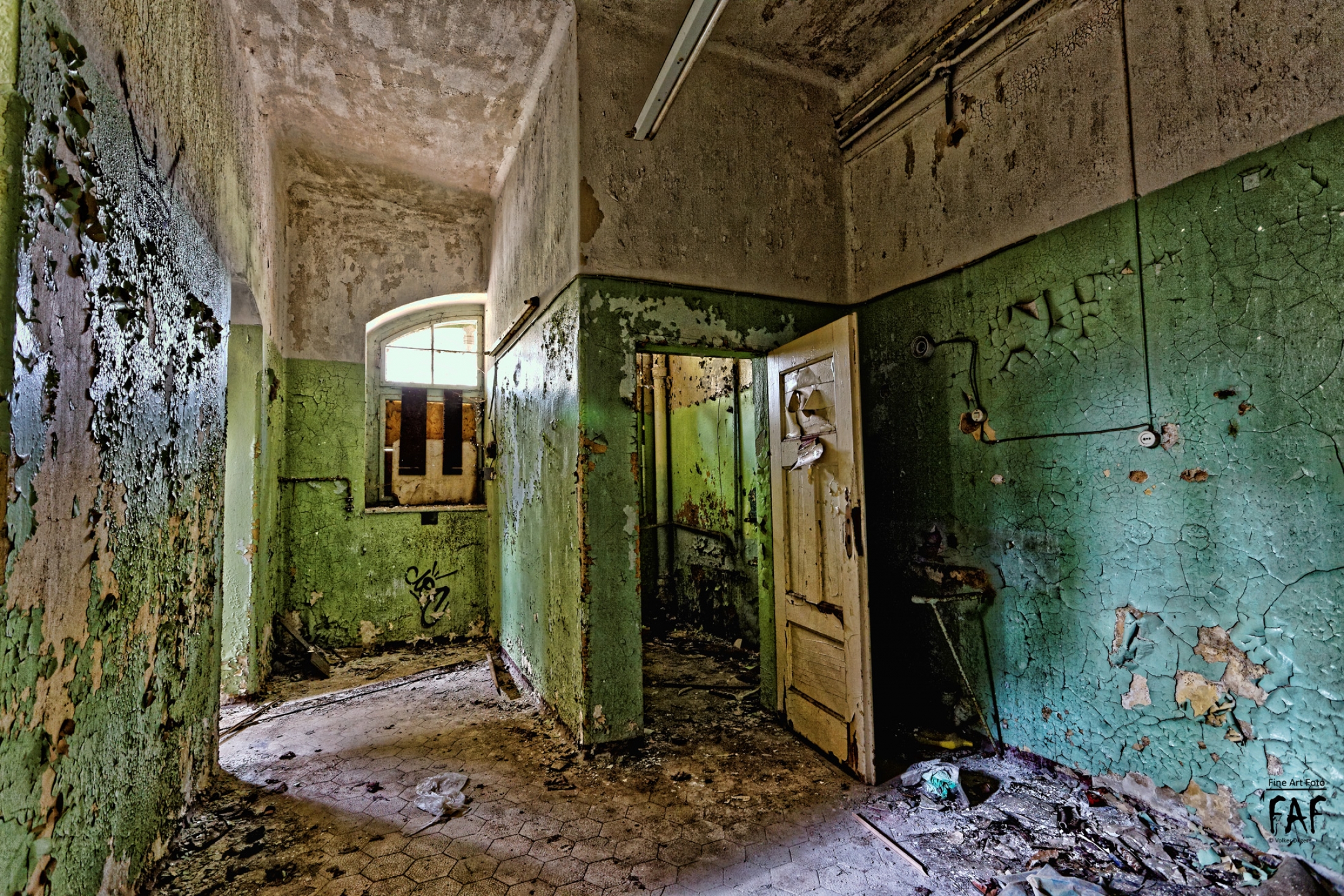 Single beelitz
